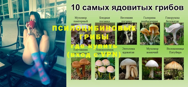 соль ск Аркадак